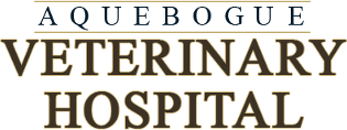 Aquebogue Veterinary Hospital