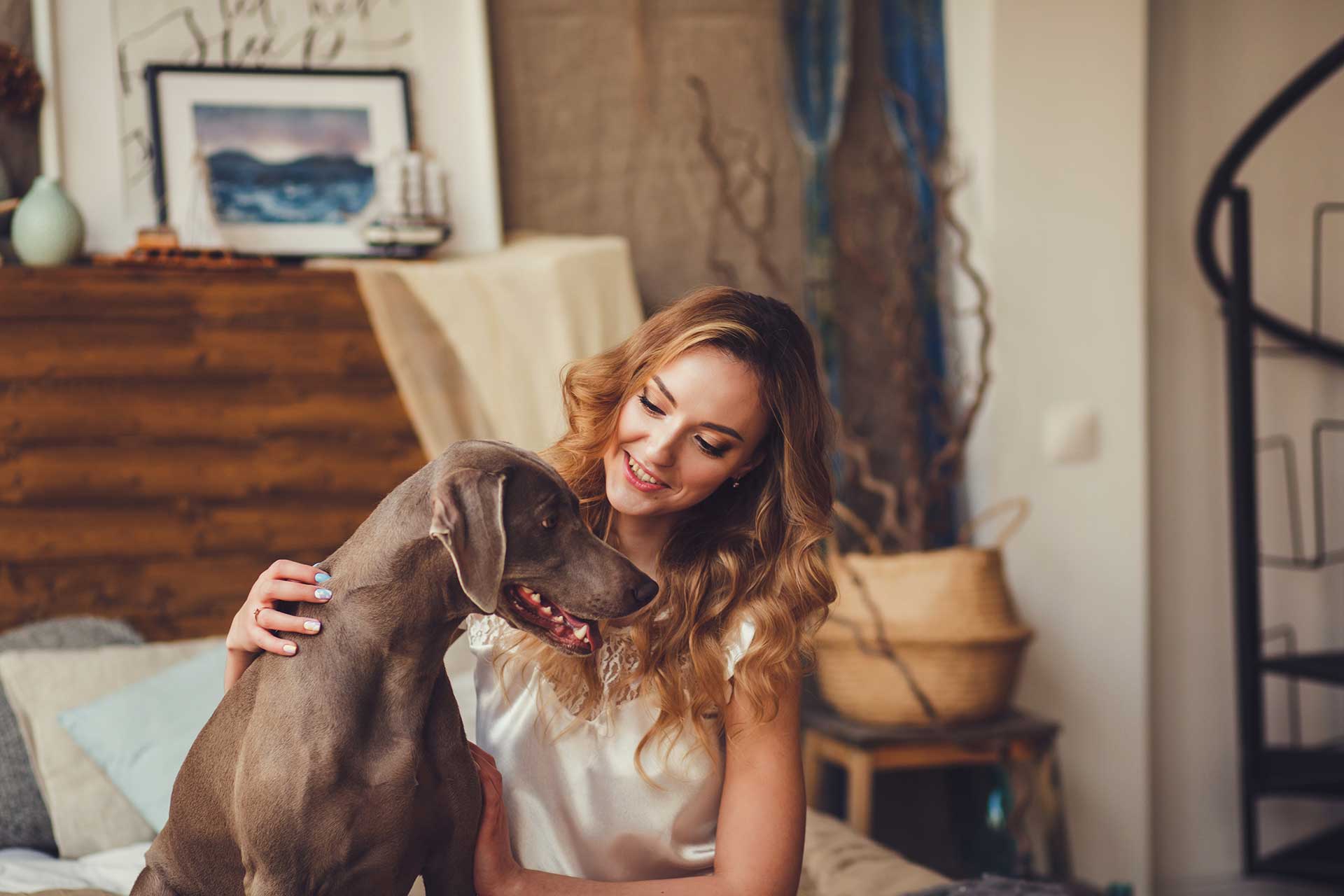 Veterinarian in Aquebogue, NY